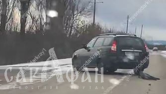 Размозженная и с удавкой на шее: на Кубани садисты волокли за колесами авто бездыханную собаку, не оставив ей шанса на жизнь 