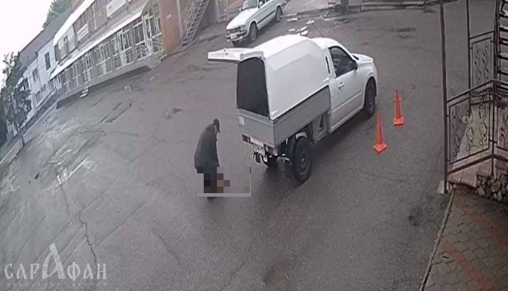 Убили щенков прямо на глазах у детей: на Кубани не щадят ни чипированных, ни домашних собак