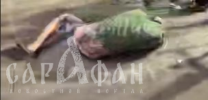 Добивали ногами лежащего на кровавом асфальте: подростки жестоко изувечили мужчину возле бара 