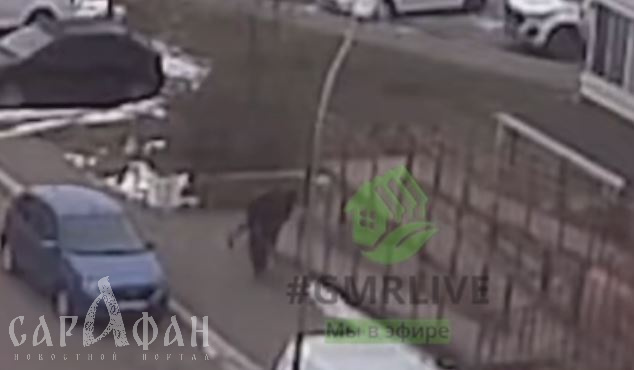 Мертвого 17-летнего таджика нашли припорошенным снегом на лавочке у многоэтажки в Краснодаре