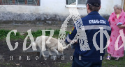 На Кубани лайка провалилась в старый колодец и просидела там 3 дня
