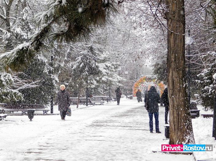 Ростовскую область накрыл снегопад